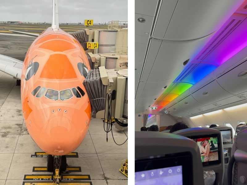 フライングホヌの外観と機内
